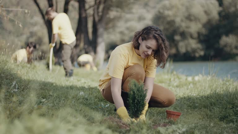 Best Pest Control for Lawns  in Plattsburgh West, NY
